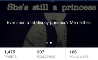 @BunnieJuice's cover once used to read: "Ever seen a fat disney princess? Me neither."